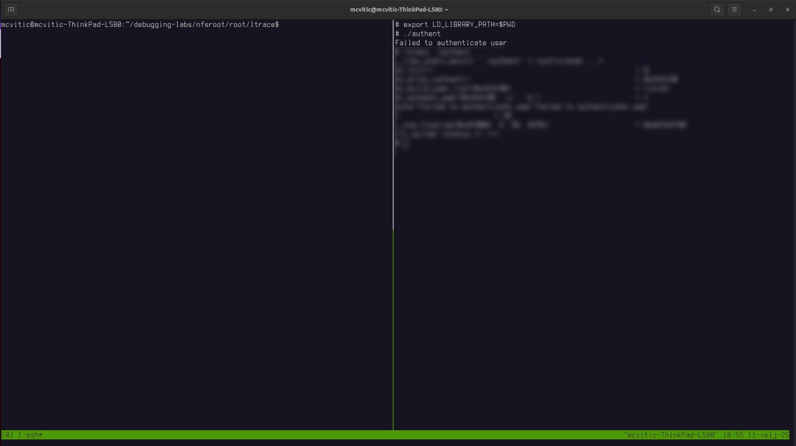 attempting to run an authentication-constrained application