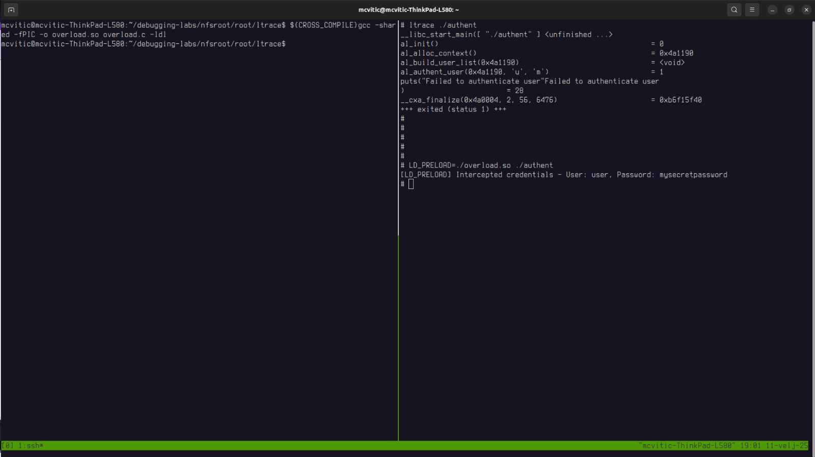 hacking a credential-checking algorithm