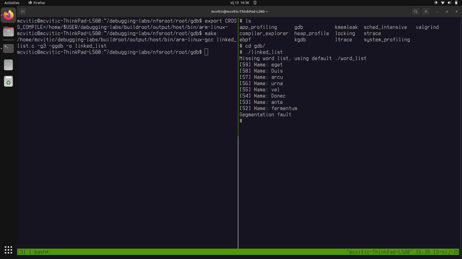 segmentation fault segfault demo